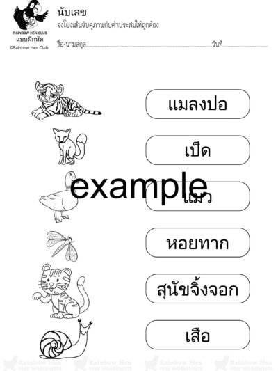 โหลดฟรี ตัวอย่าง แบบฝึกหัดอนุบาล