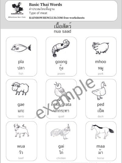 learning Thai as a foreign language